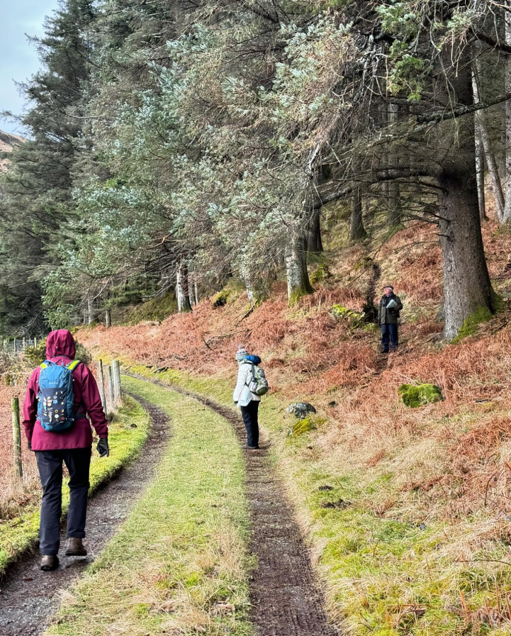 Learn to Navigate on the Isle of Mull gallery 2