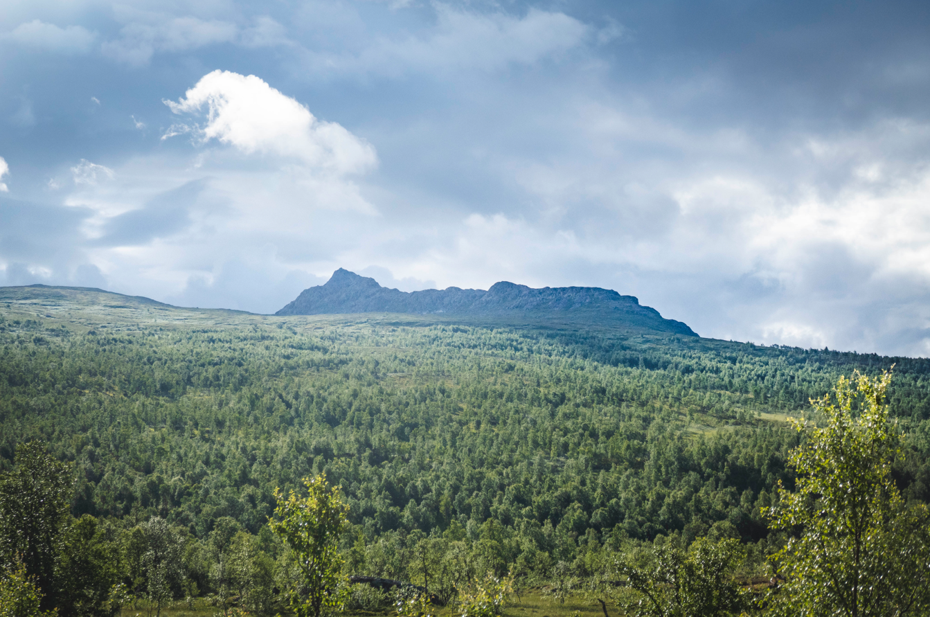 4-Day Cultural Hike to Atoklimpen, Sweden gallery 2