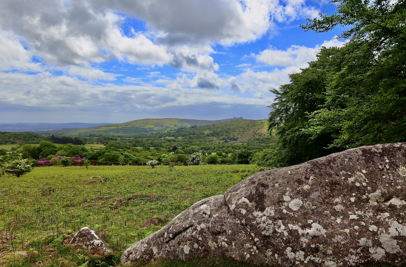 Dartmoor Guided Walking Tours Exploring History and Nature, photo 5