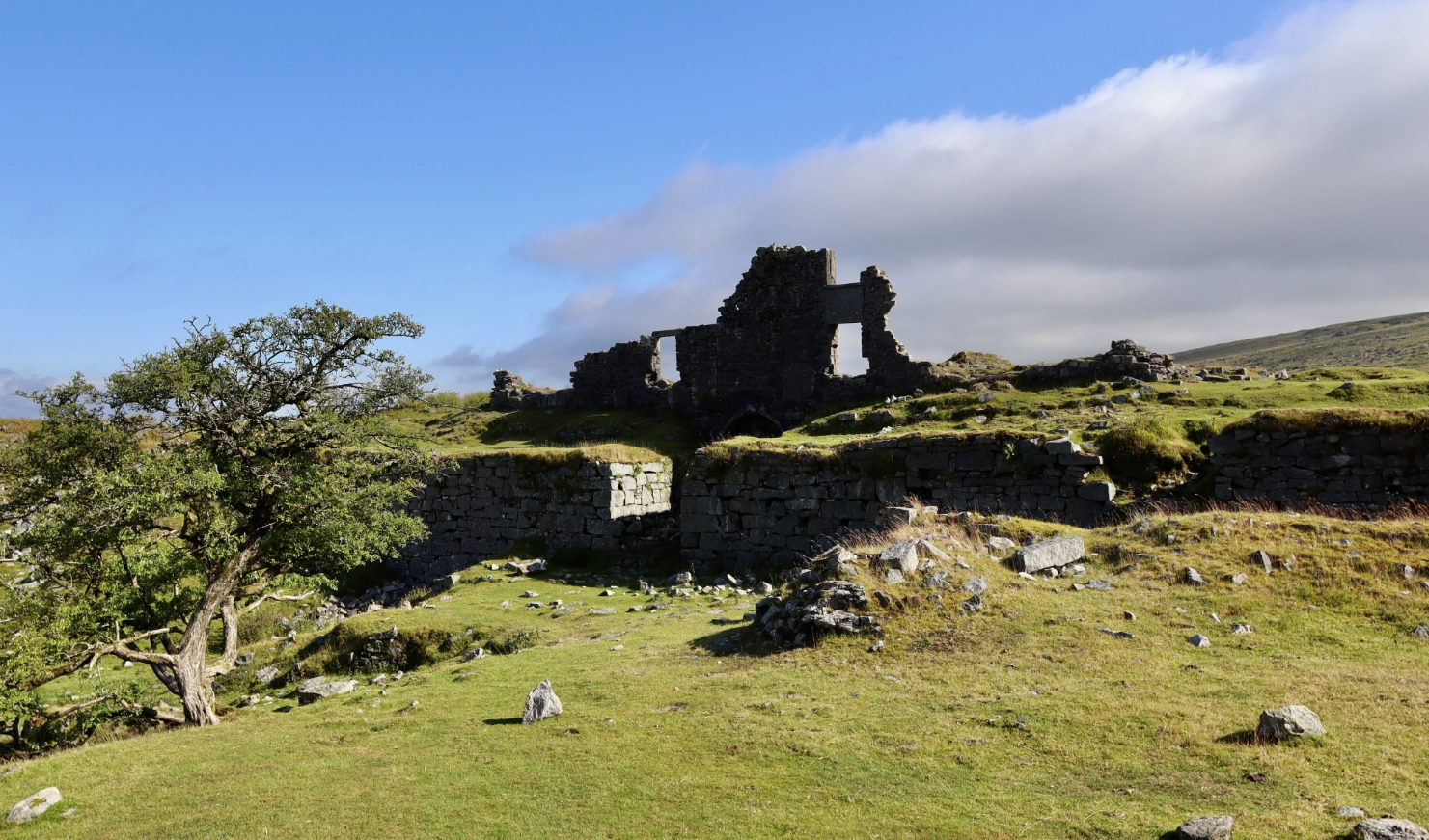 Dartmoor Guided Walking Tours Exploring History and Nature gallery 3