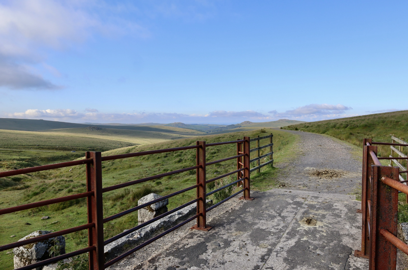 Dartmoor Guided Walking Tours Exploring History and Nature gallery 4