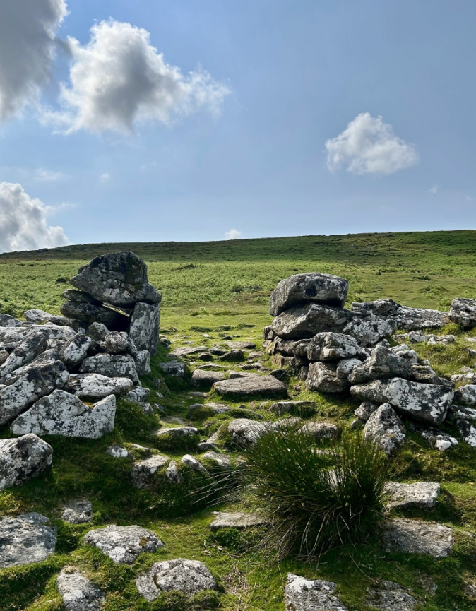 Dartmoor Guided Walking Tours Exploring History and Nature gallery 5