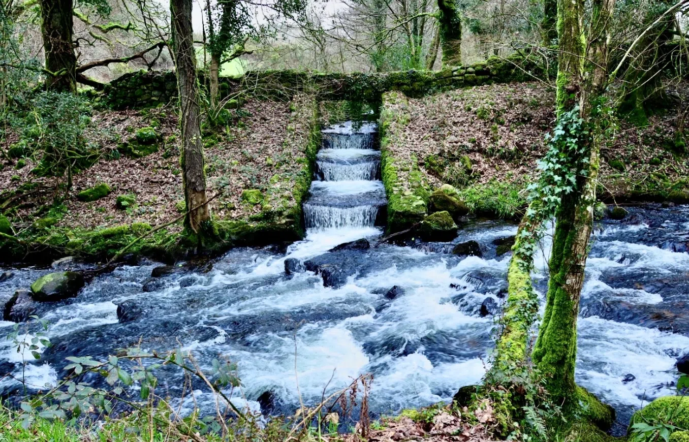 Dartmoor Guided Walking Tours Exploring History and Nature, photo 2