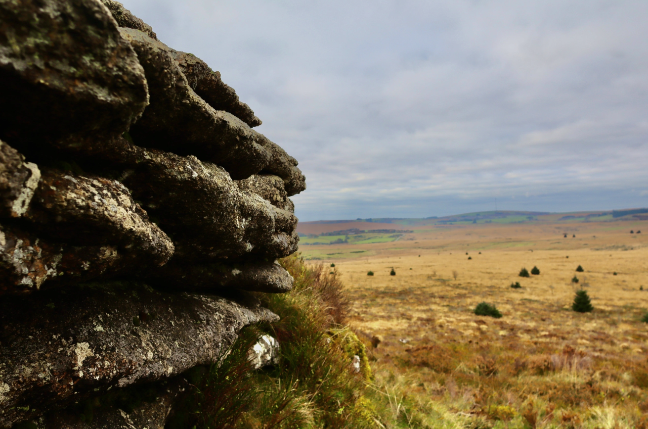 Dartmoor Guided Walking Tours Exploring History and Nature gallery 8