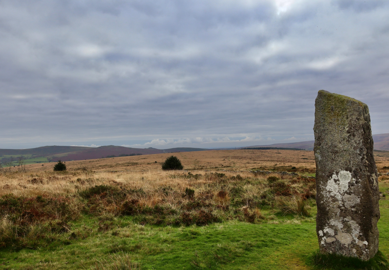 Dartmoor Guided Walking Tours Exploring History and Nature gallery 9