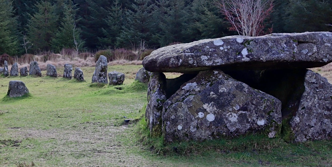 Dartmoor Guided Walking Tours Exploring History and Nature, photo 3