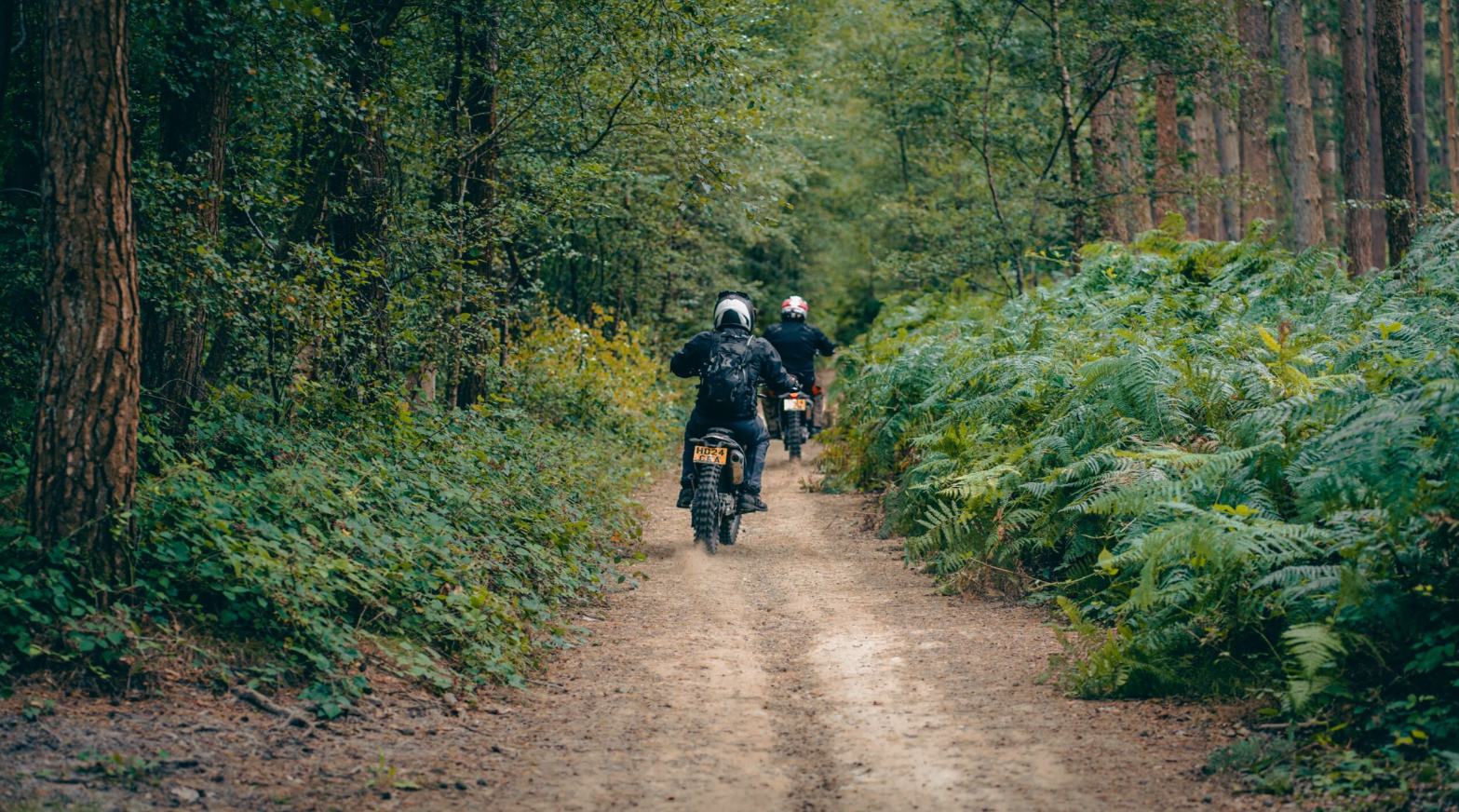 Dorking Discovery: Beginner-Friendly Trail Ride with Guided Support gallery 9