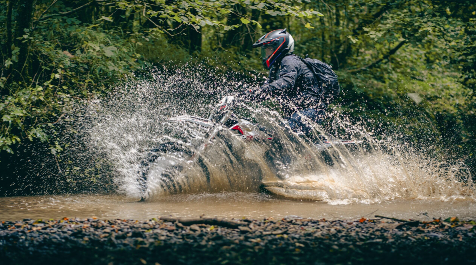 Surrey to Salisbury: Two-Day Trail Ride with Overnight Stay gallery 6