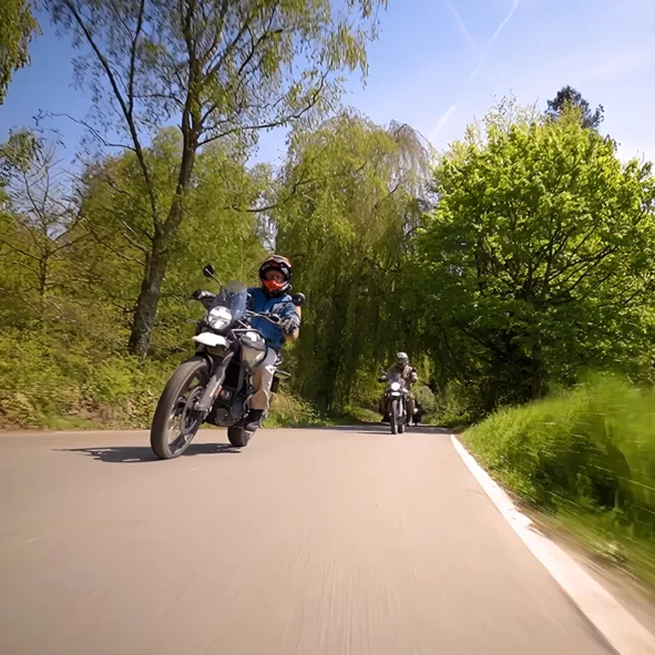 Dorking Discovery: Beginner-Friendly Trail Ride with Guided Support gallery 2