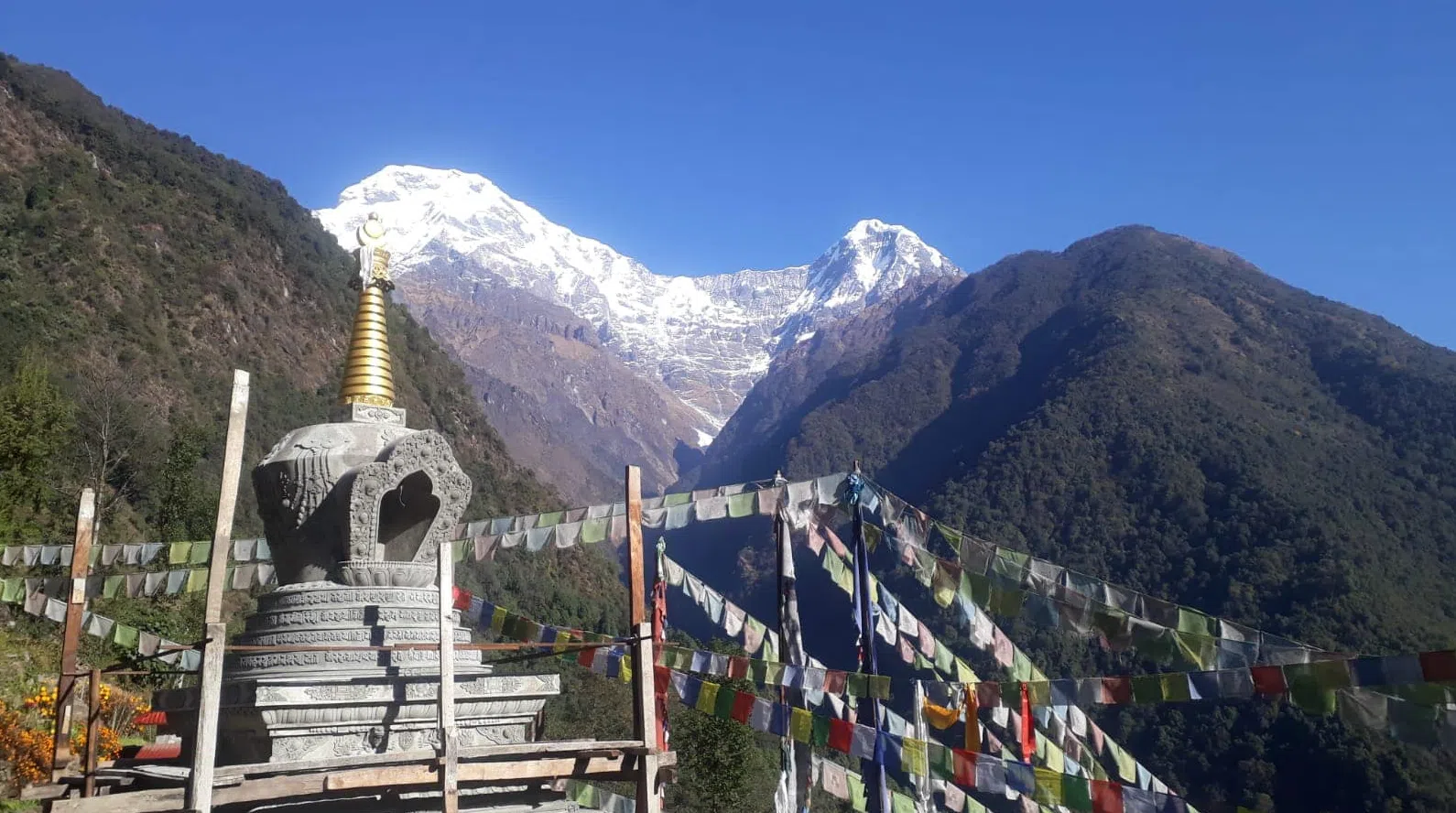 Annapurna Base Camp Trek: 12-Night Himalayan Adventure, photo 2