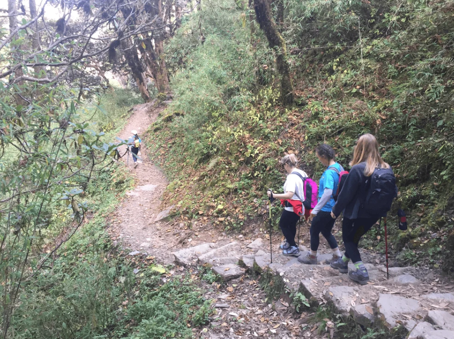 Poon Hill & Hot Springs Trek – 9 Nights in the Annapurna Foothills gallery 9