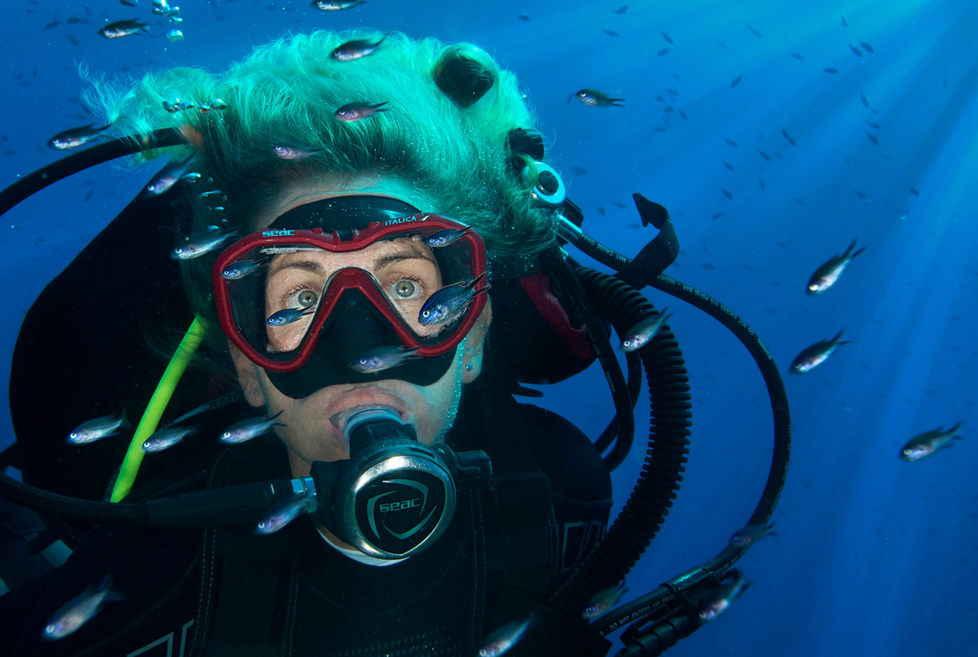 Fun Diving Packages on La Maddalena Island, photo 5