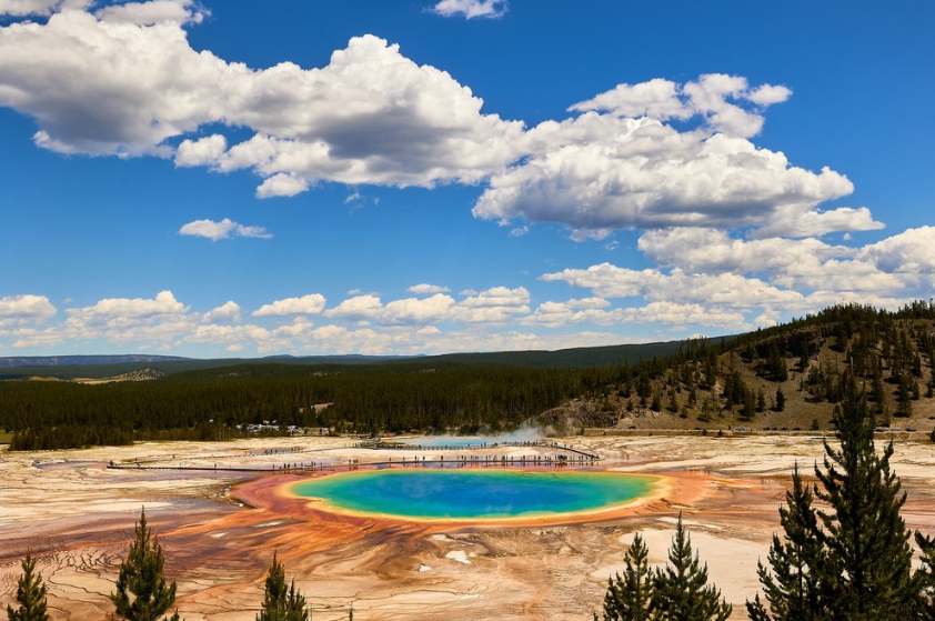 Private Summer Wildlife Photography Safari in Yellowstone National Park gallery 3