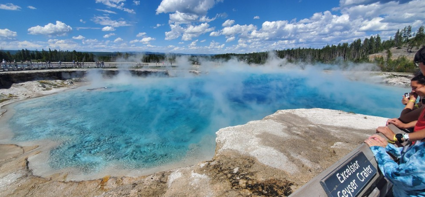 Private Summer Wildlife Photography Safari in Yellowstone National Park gallery 5