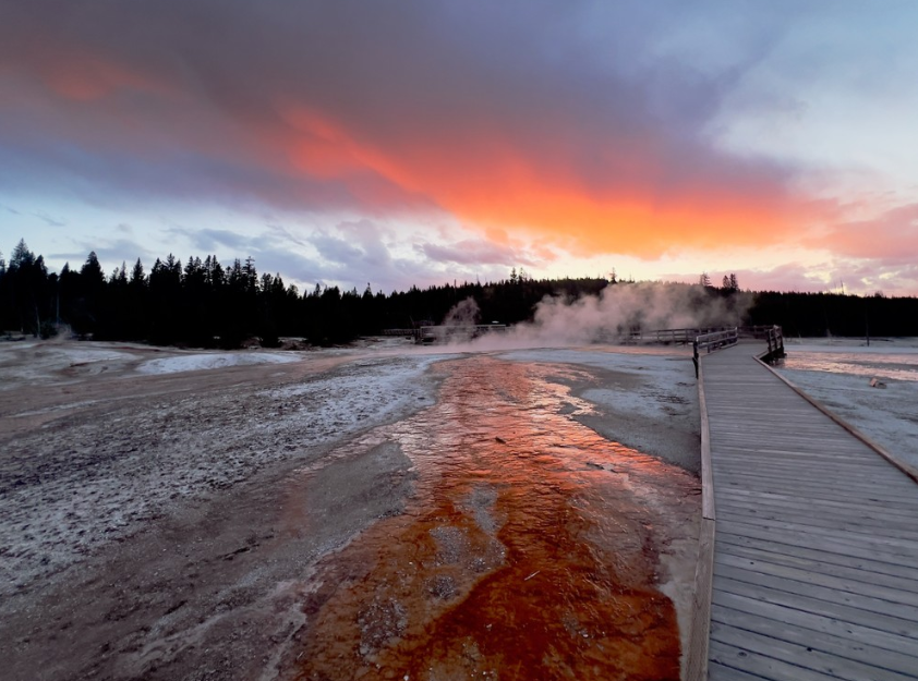 Private Summer Wildlife Photography Safari in Yellowstone National Park gallery 6