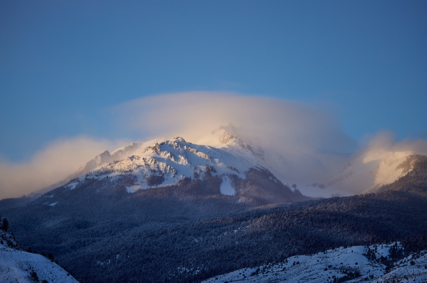 Private Winter Wildlife and Landscape Photography Safari in Yellowstone National Park gallery 4