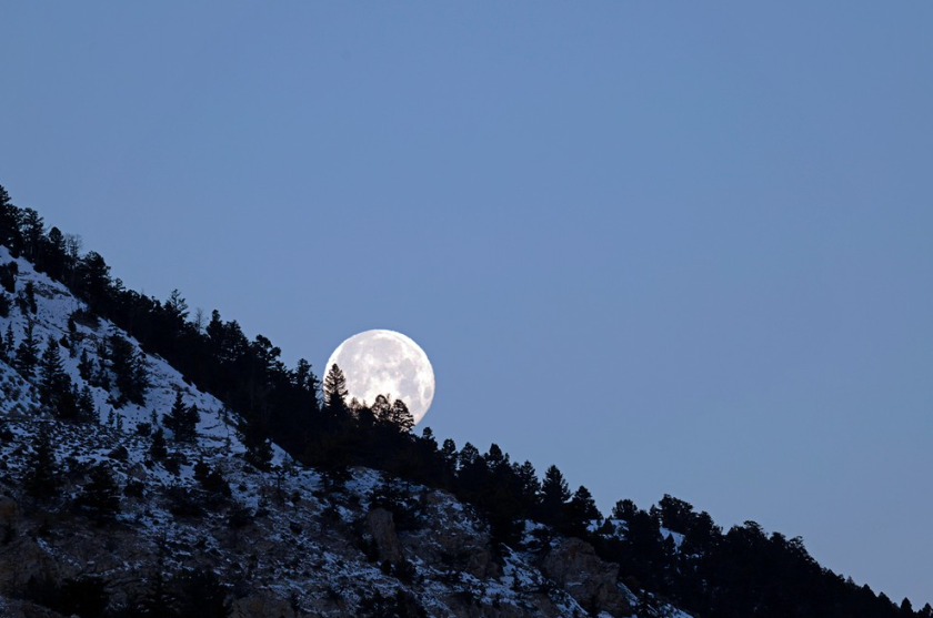 Private Winter Wildlife and Landscape Photography Safari in Yellowstone National Park gallery 5