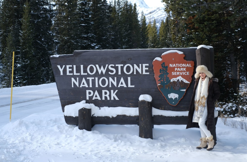 Private EcoTour in Yellowstone National Park gallery 10