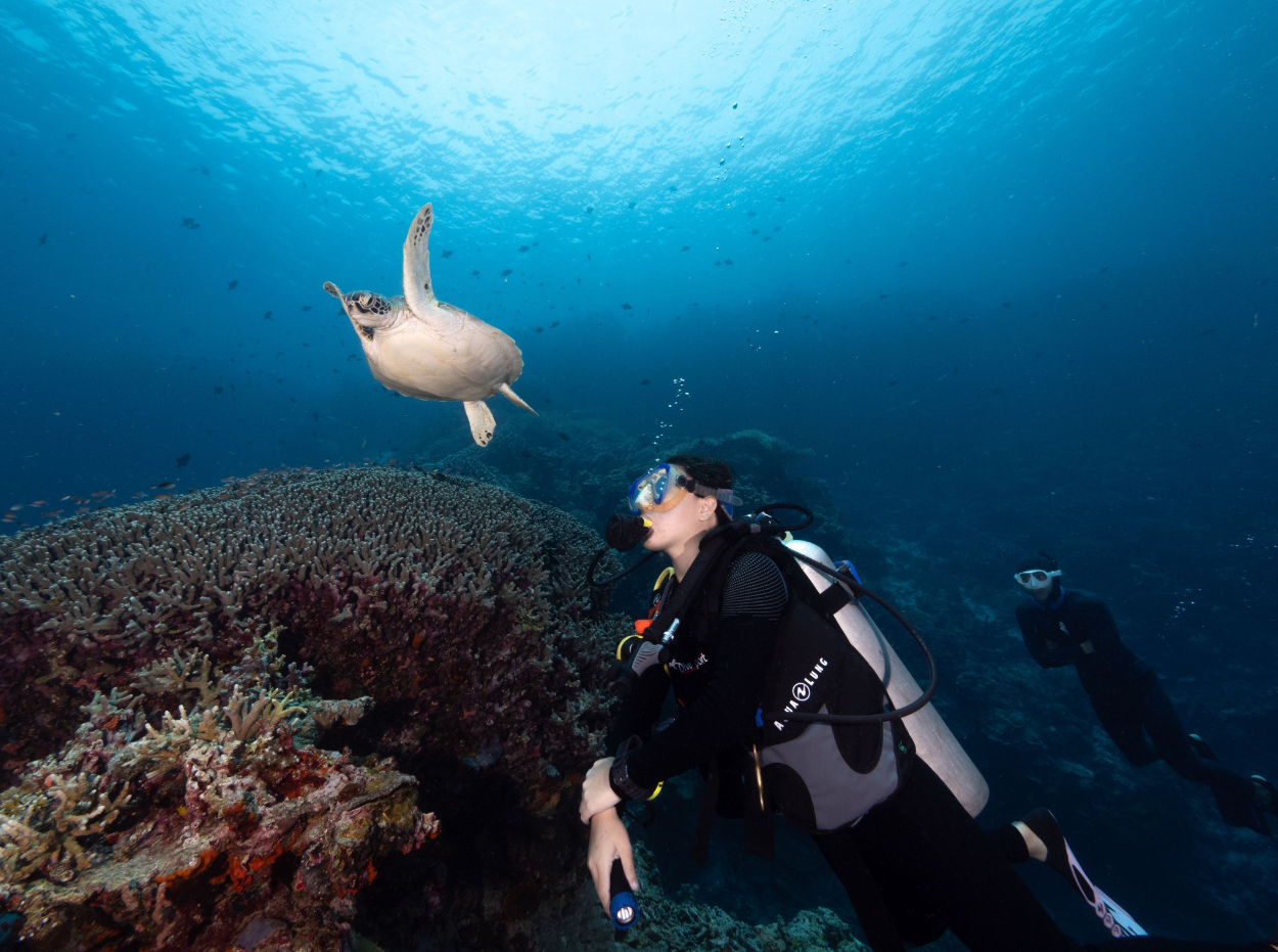 Passport to Paradise: Multi-Resort Dive Adventure in North Sulawesi gallery 10