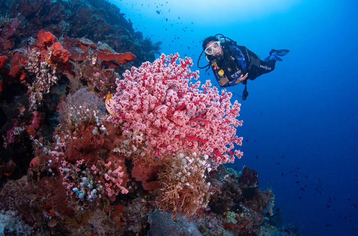 Advanced Open Water Diver certification