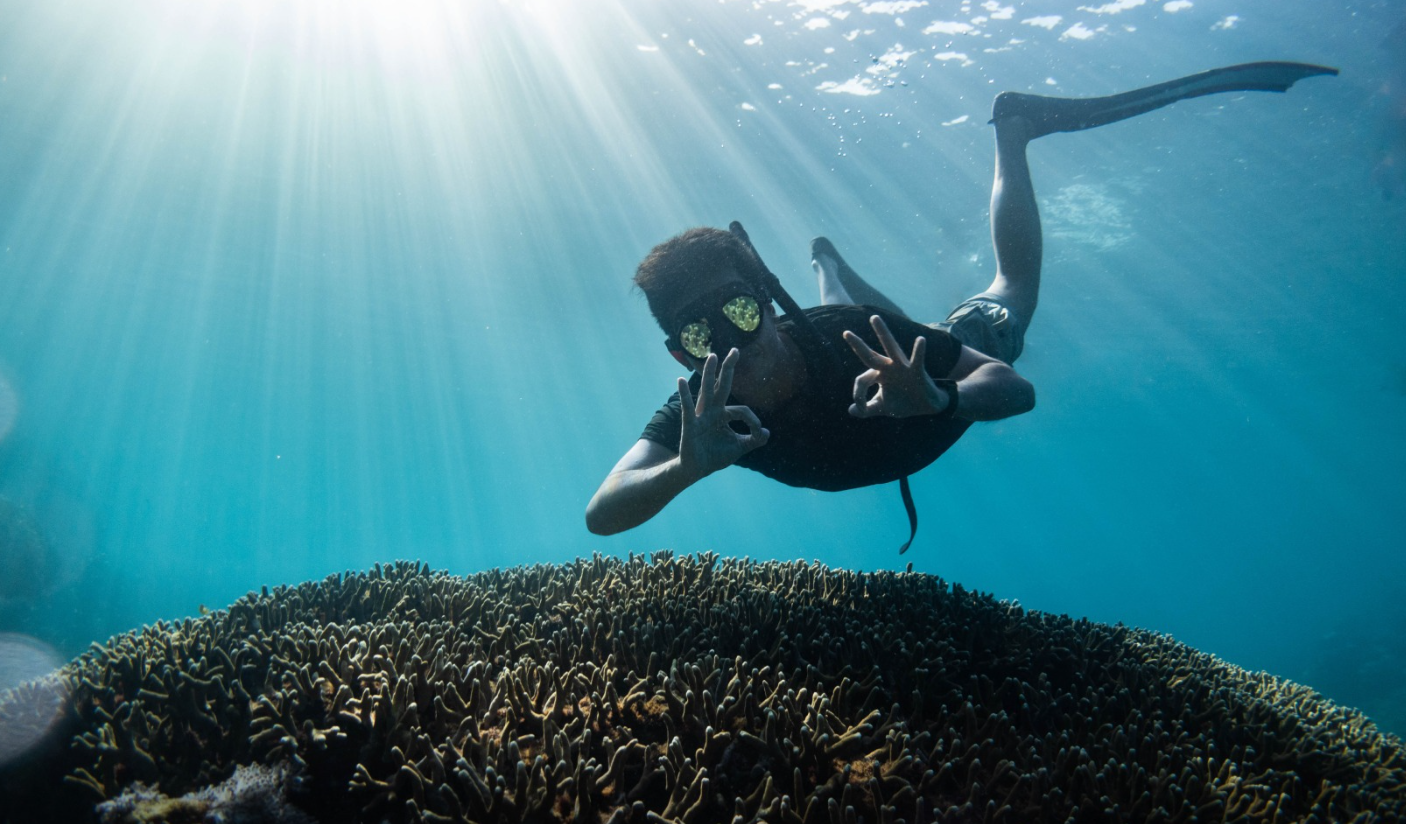 Passport to Paradise: Multi-Resort Dive Adventure in North Sulawesi, photo 4