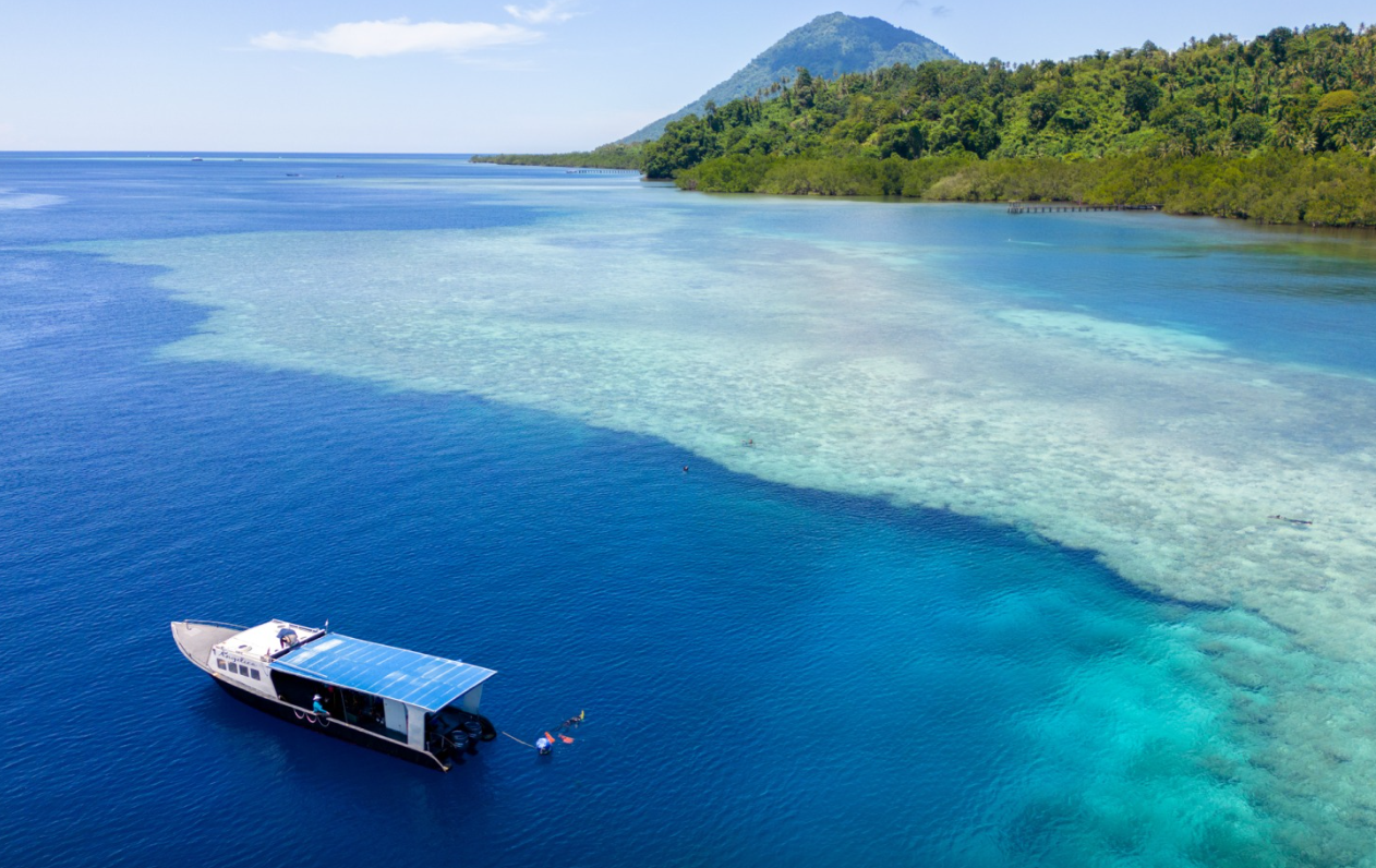 PADI Advanced Open Water Diver Course in Sulawesi gallery 5