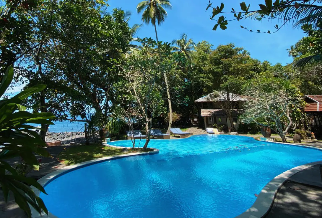 PADI Advanced Open Water Diver Course in Sulawesi gallery 6