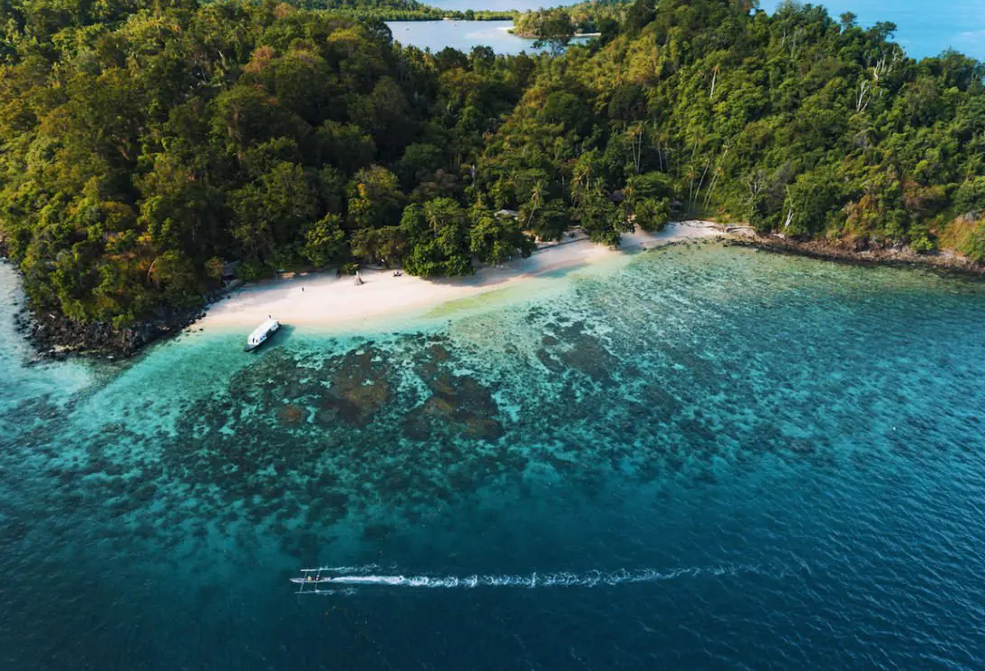 Passport to Paradise: Multi-Resort Dive Adventure in North Sulawesi gallery 8