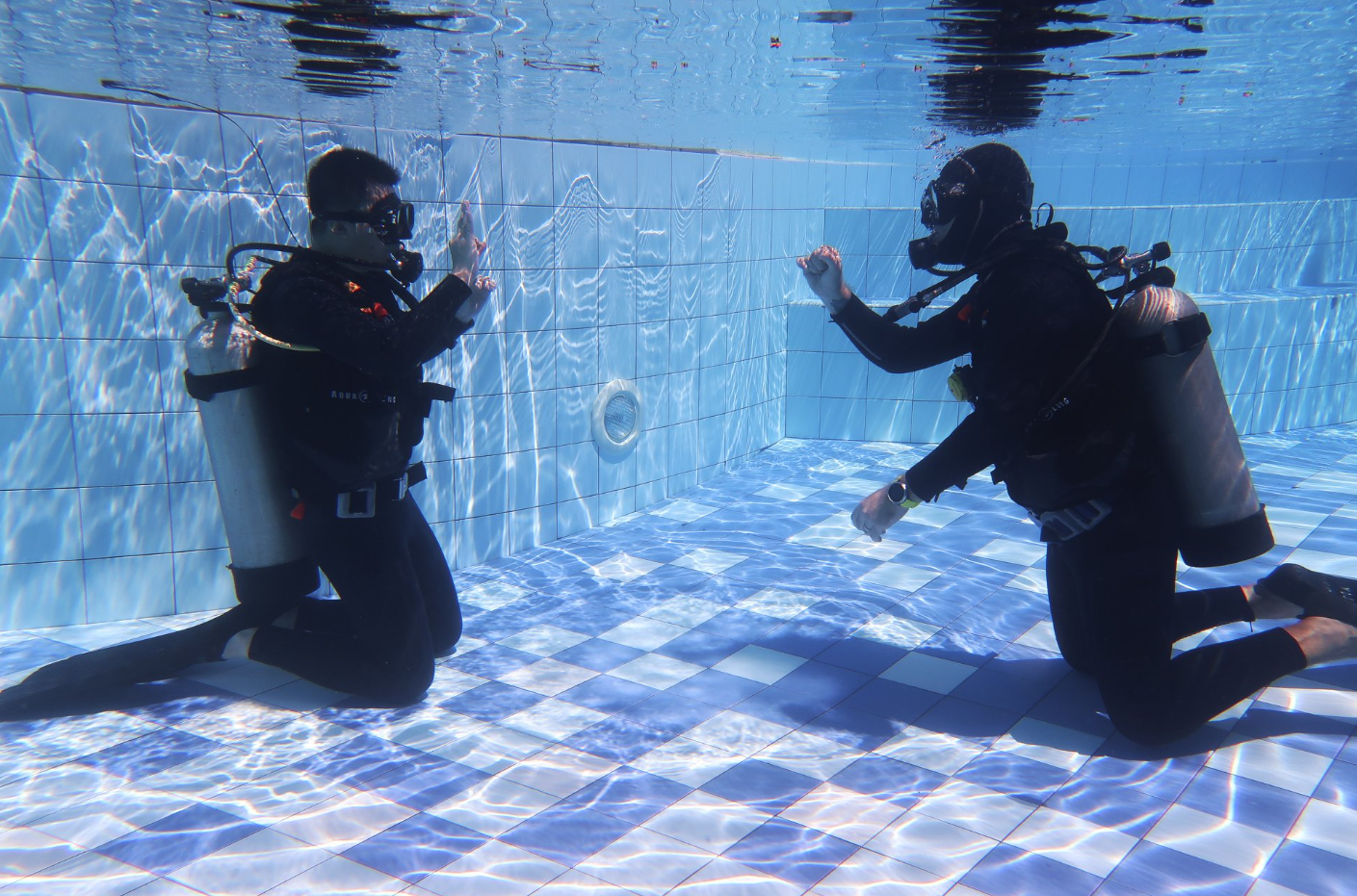 PADI Open Water Course – Learn to Dive in Sulawesi gallery 7