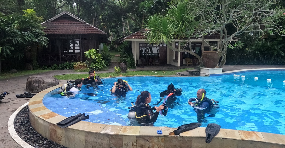 PADI Open Water Course – Learn to Dive in Sulawesi, photo 5