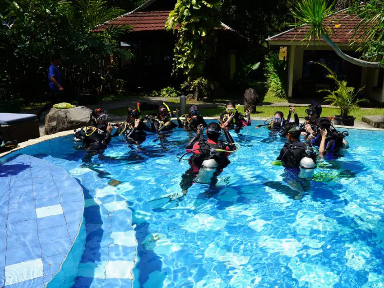 PADI Open Water Course – Learn to Dive in Sulawesi gallery 2