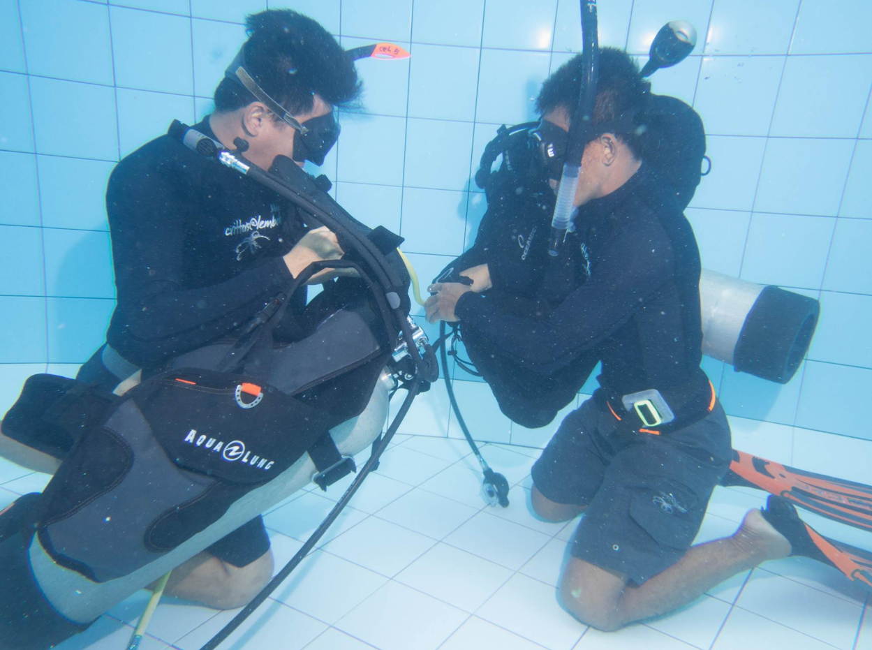 PADI Divemaster Course in Sulawesi gallery 9