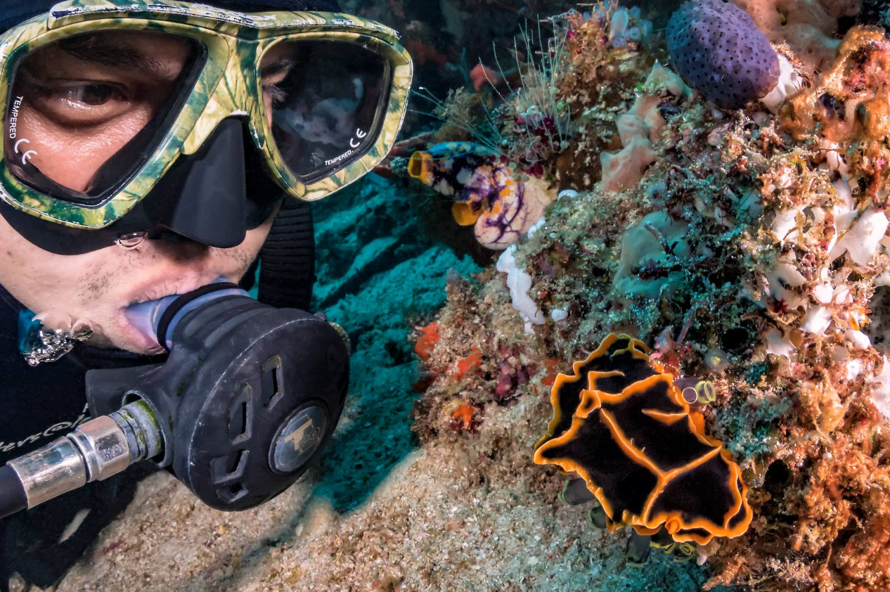 PADI Digital Underwater Photography Course in Sulawesi, photo 3