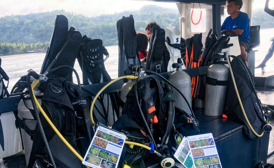 Ocean Gardener Coral Diver Level 1 Course in Sulawesi gallery 10