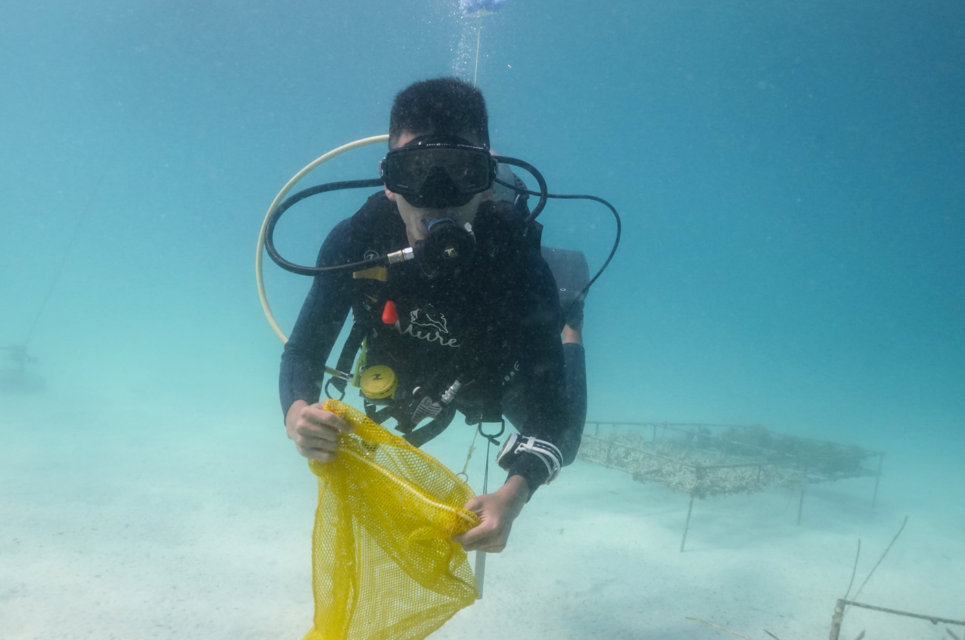 Ocean Gardener – Discover Coral Diving in Sulawesi, photo 3