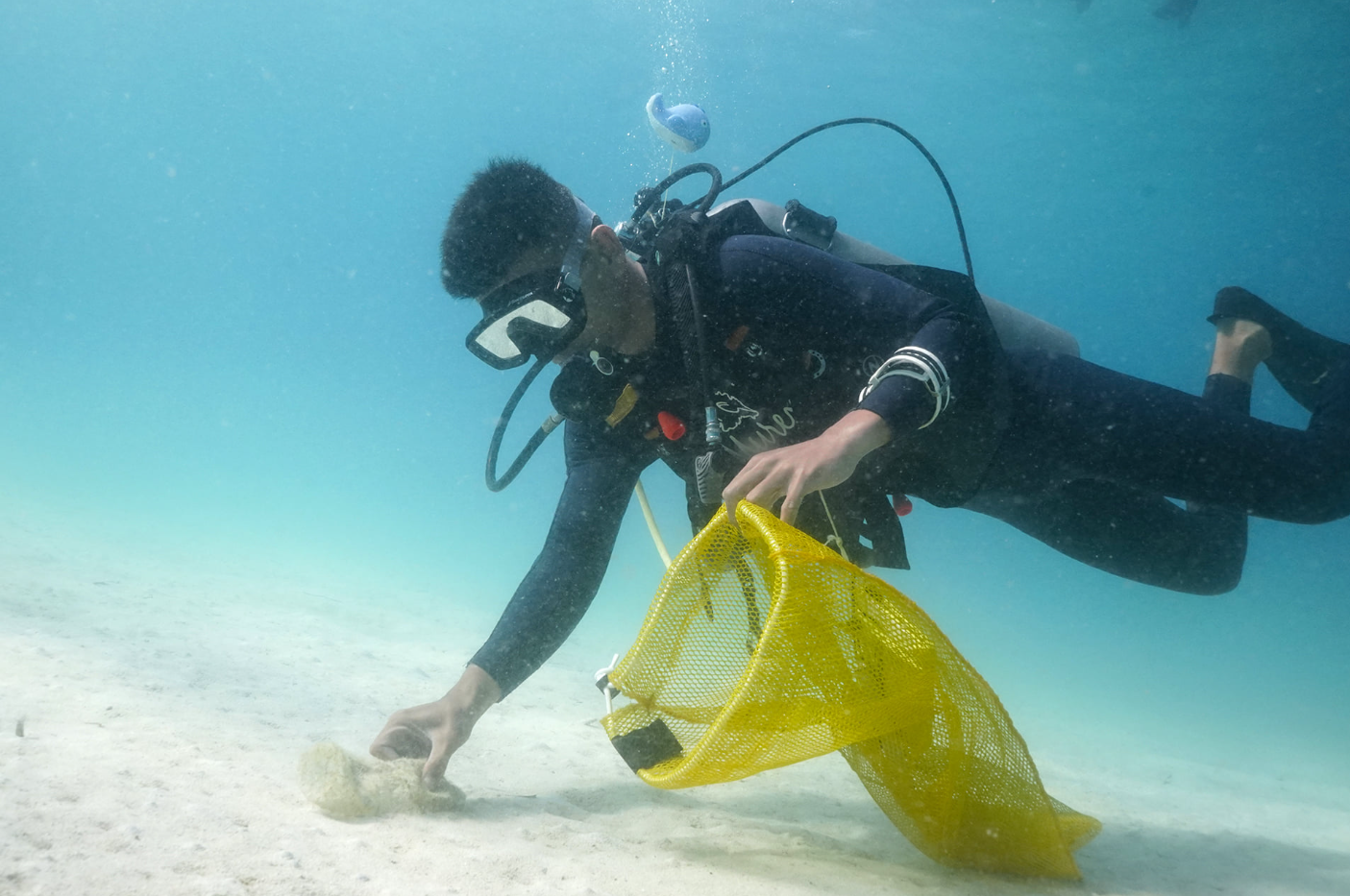 Ocean Gardener – Discover Coral Diving in Sulawesi gallery 7