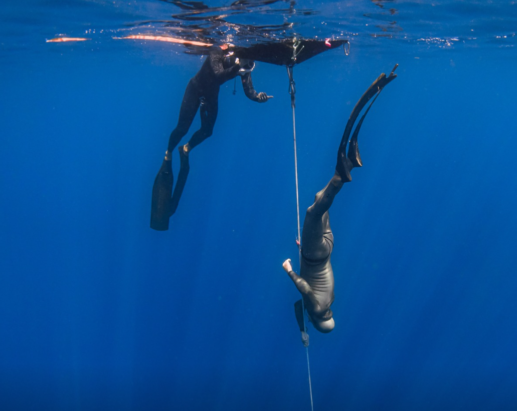 AIDA Level 1 Freediving Course in Sulawesi gallery 8