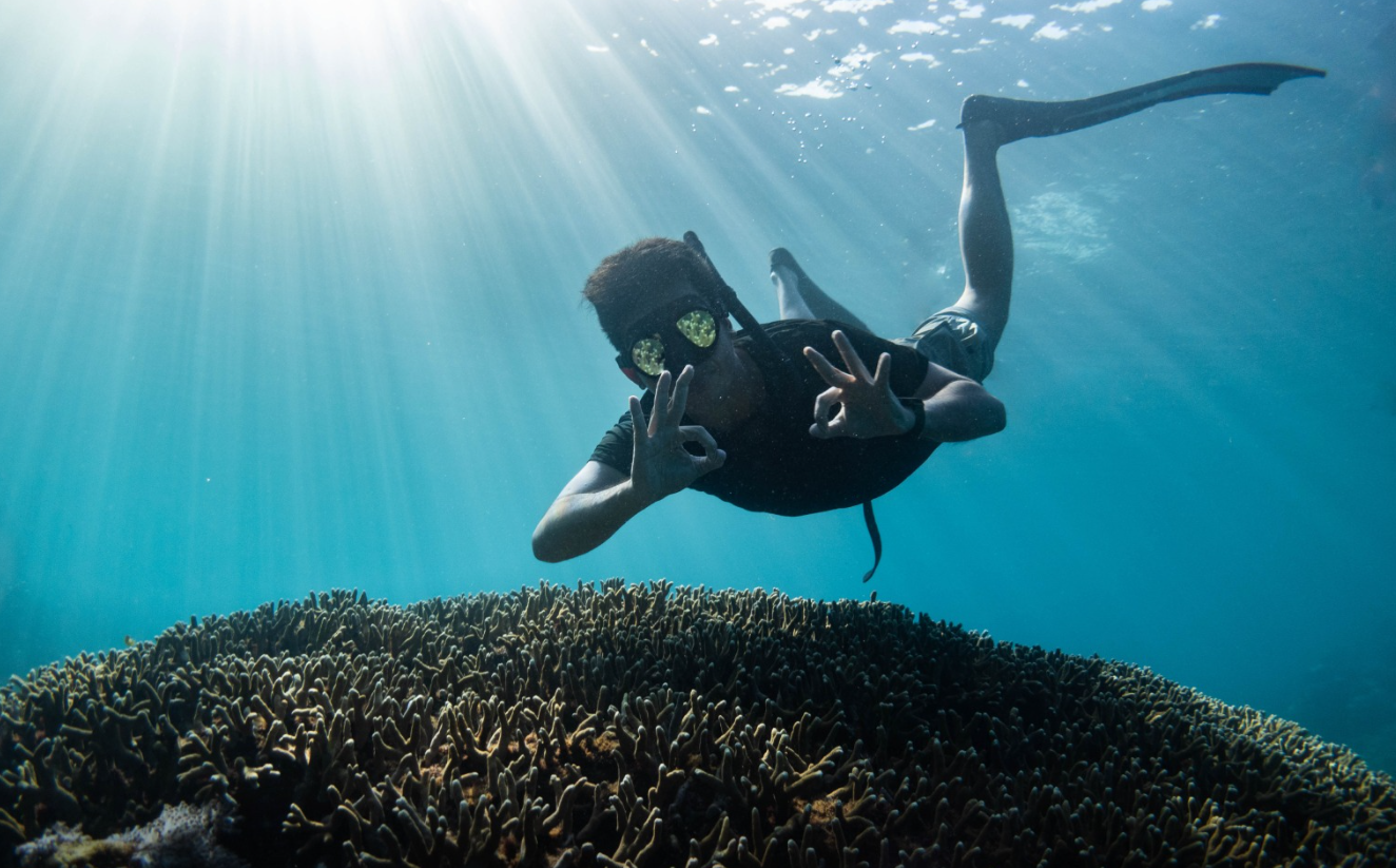 AIDA Level 1 Freediving Course in Sulawesi, photo 2