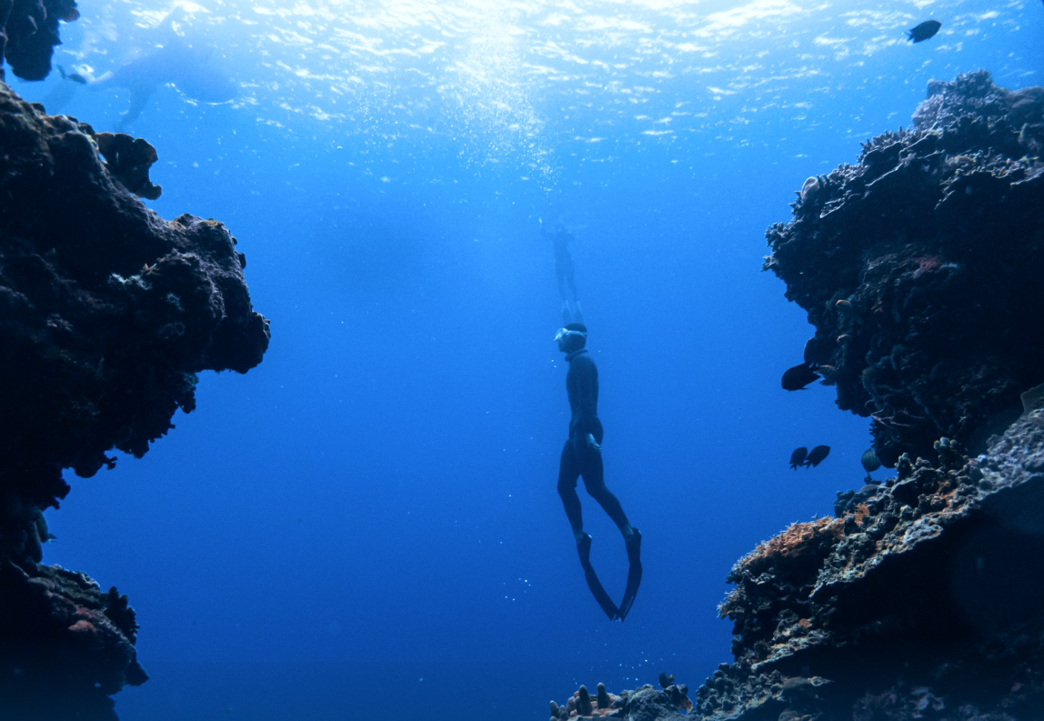 AIDA Level 3 Advanced Freediving Course in Sulawesi gallery 6