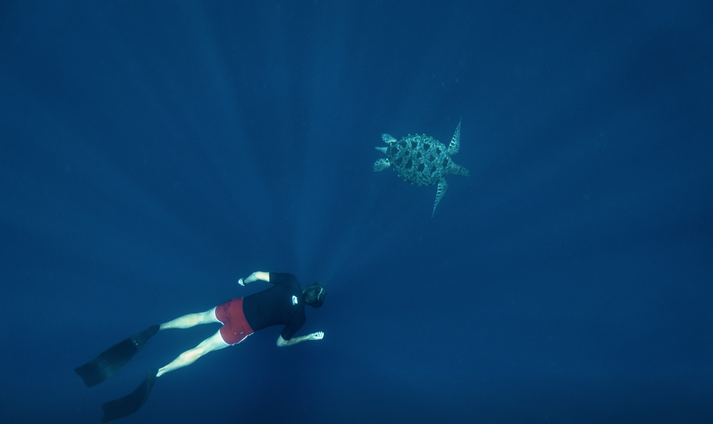 AIDA Level 2 Freediving Course in Sulawesi gallery 4
