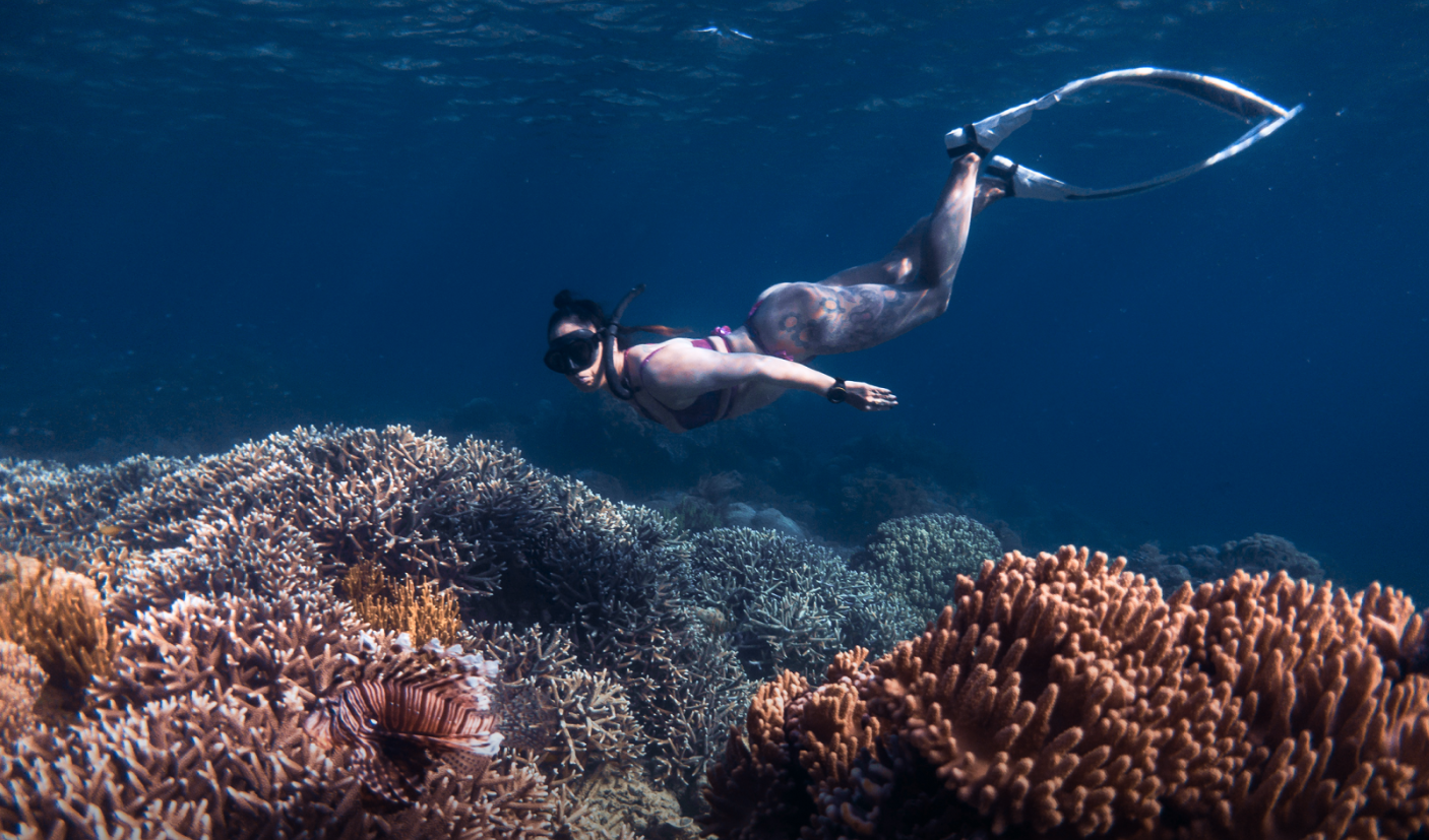 AIDA Level 1 Freediving Course in Sulawesi gallery 4