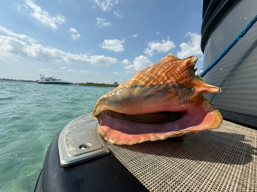 Private Pontoon Charter in Dania Beach, Florida gallery 3