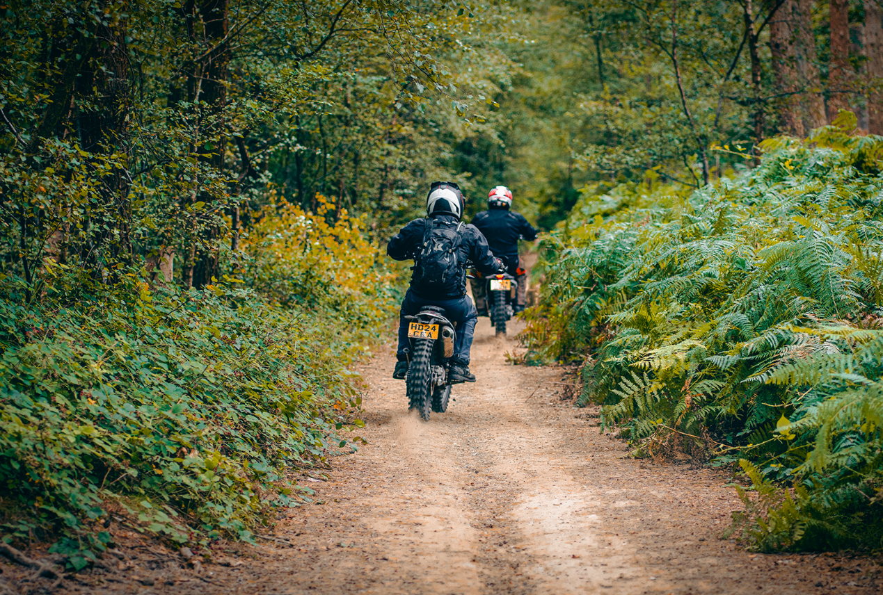 Bournemouth Trail Ride: Two Days, Four Counties, One Epic Route gallery 5