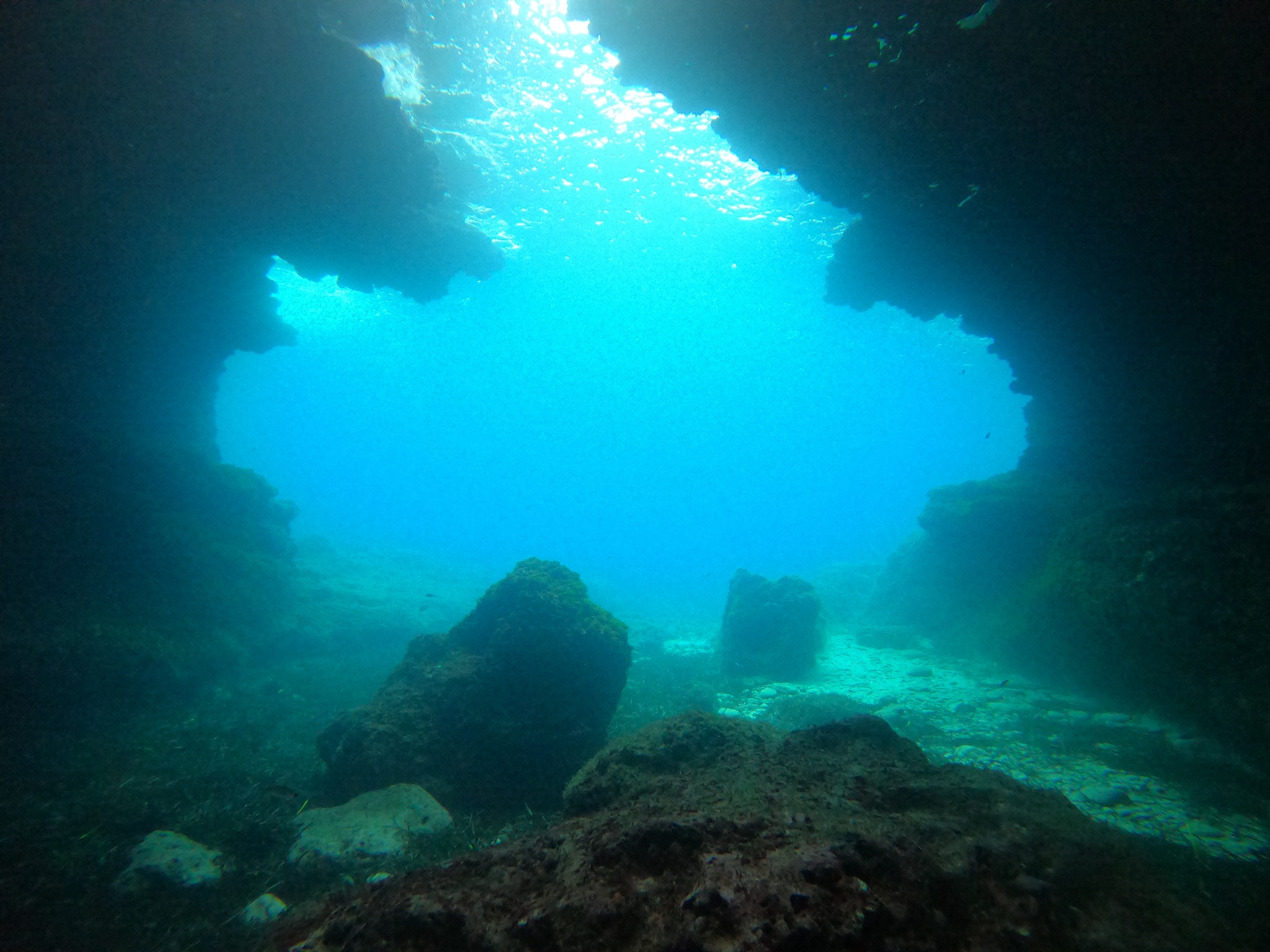 Guided Dives Porto Petro, Mallorca, photo 5