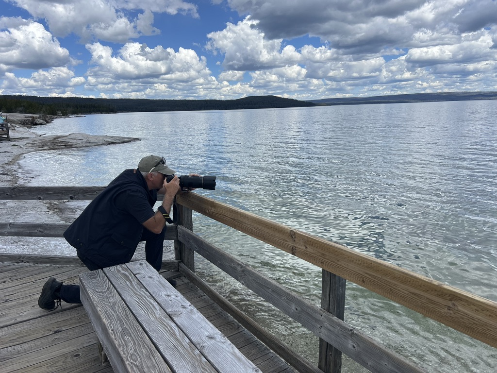Private Summer Wildlife Photography Safari in Yellowstone National Park gallery 15