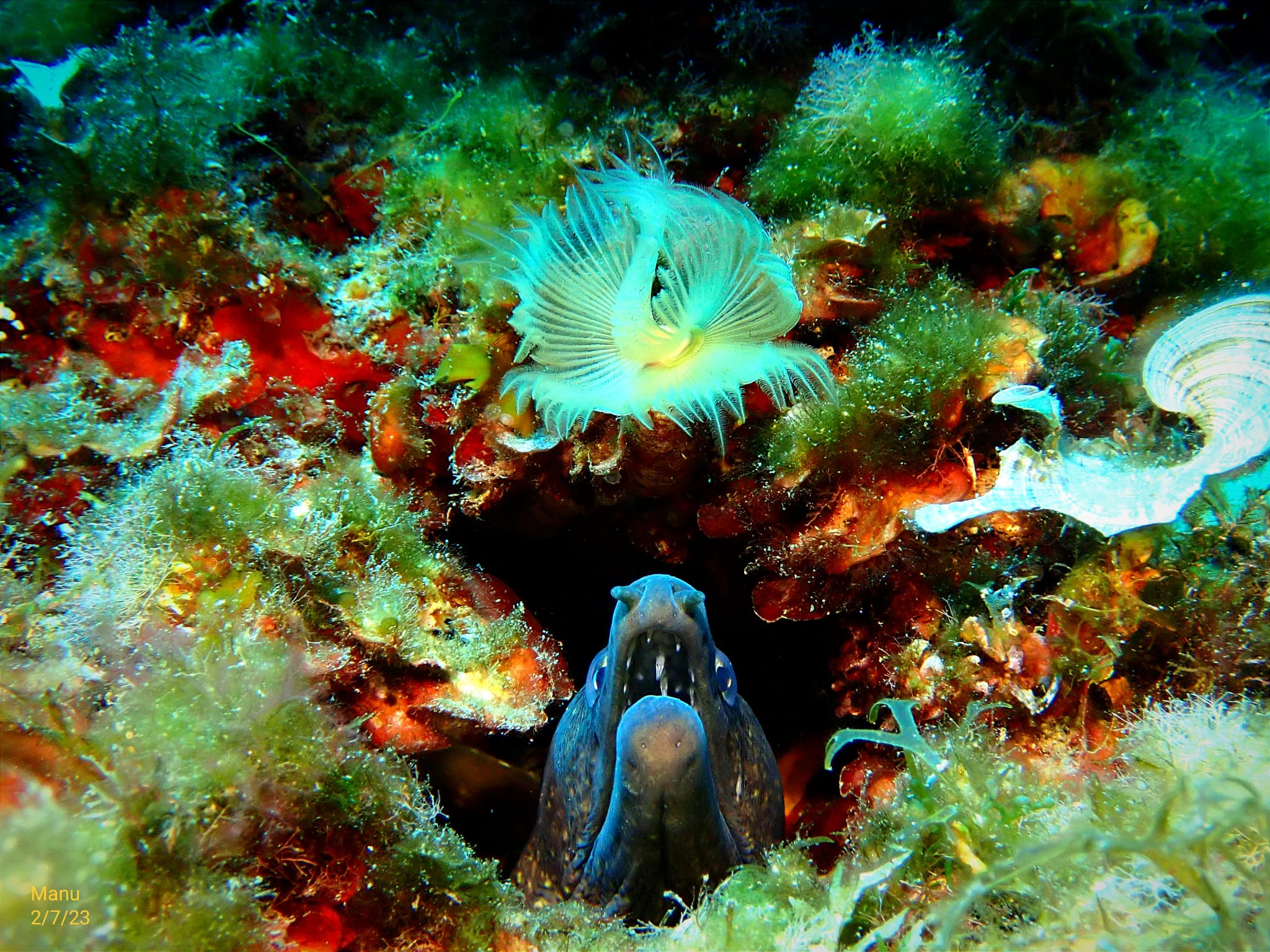 Guided Dives Porto Petro, Mallorca gallery 3