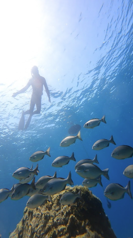 Introduction to Freediving in Lanzarote gallery 2