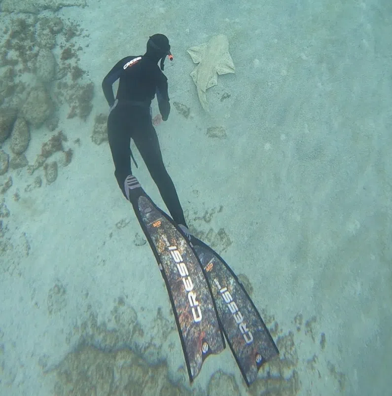 Reef Exploration Session in Lanzarote, listing photo