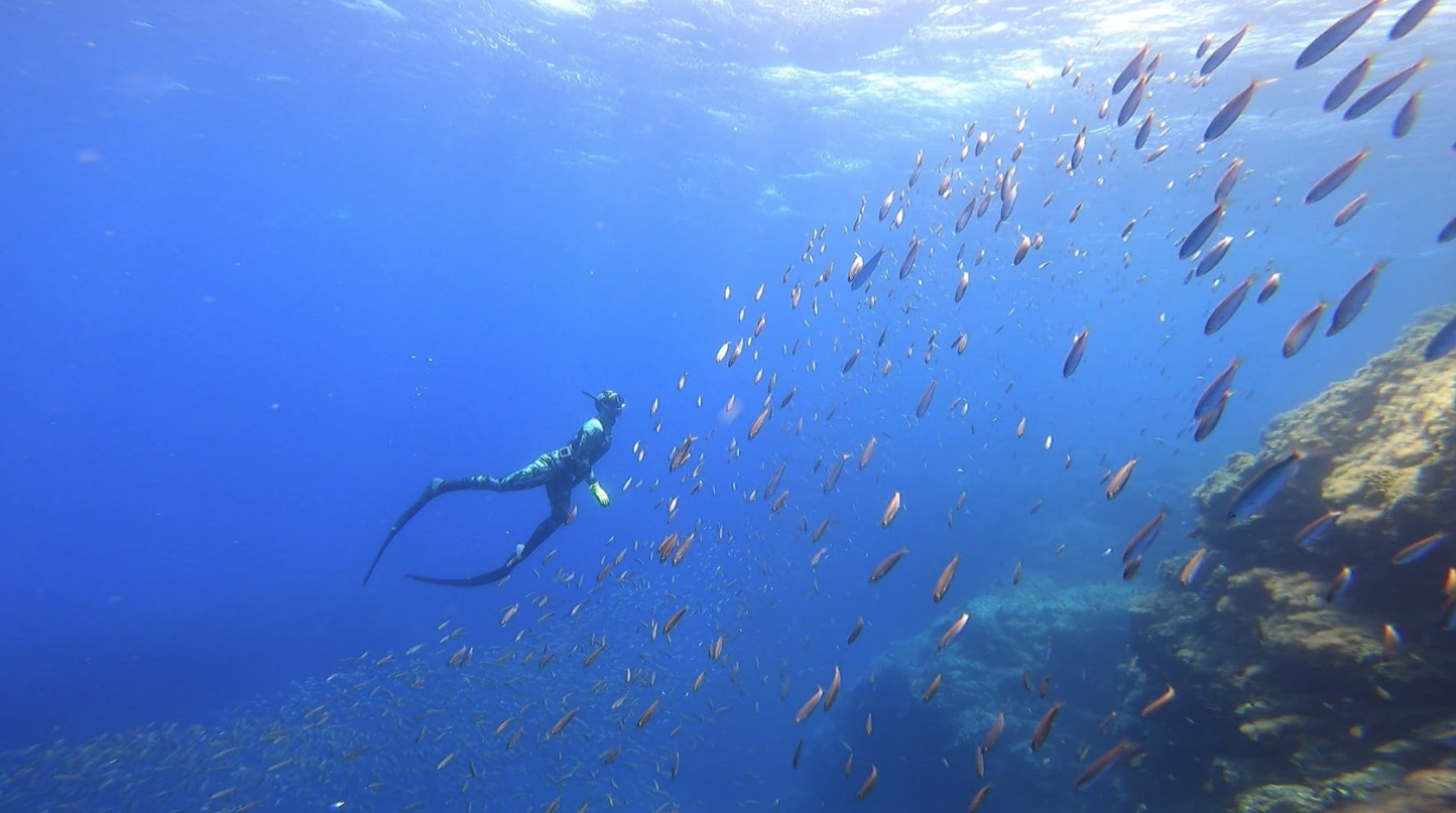 AIDA Level 3 Advanced Freediving Course in Lanzarote gallery 3