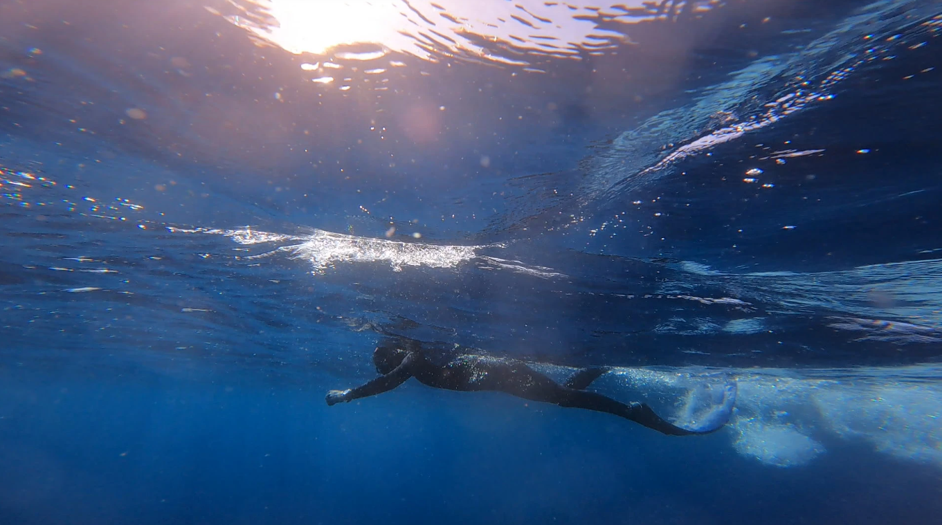 Introduction to Freediving in Lanzarote gallery 5